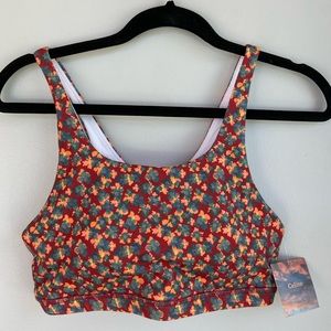 ✨ NWT! FLEO Celine sports bra BRAND NEW 🌺